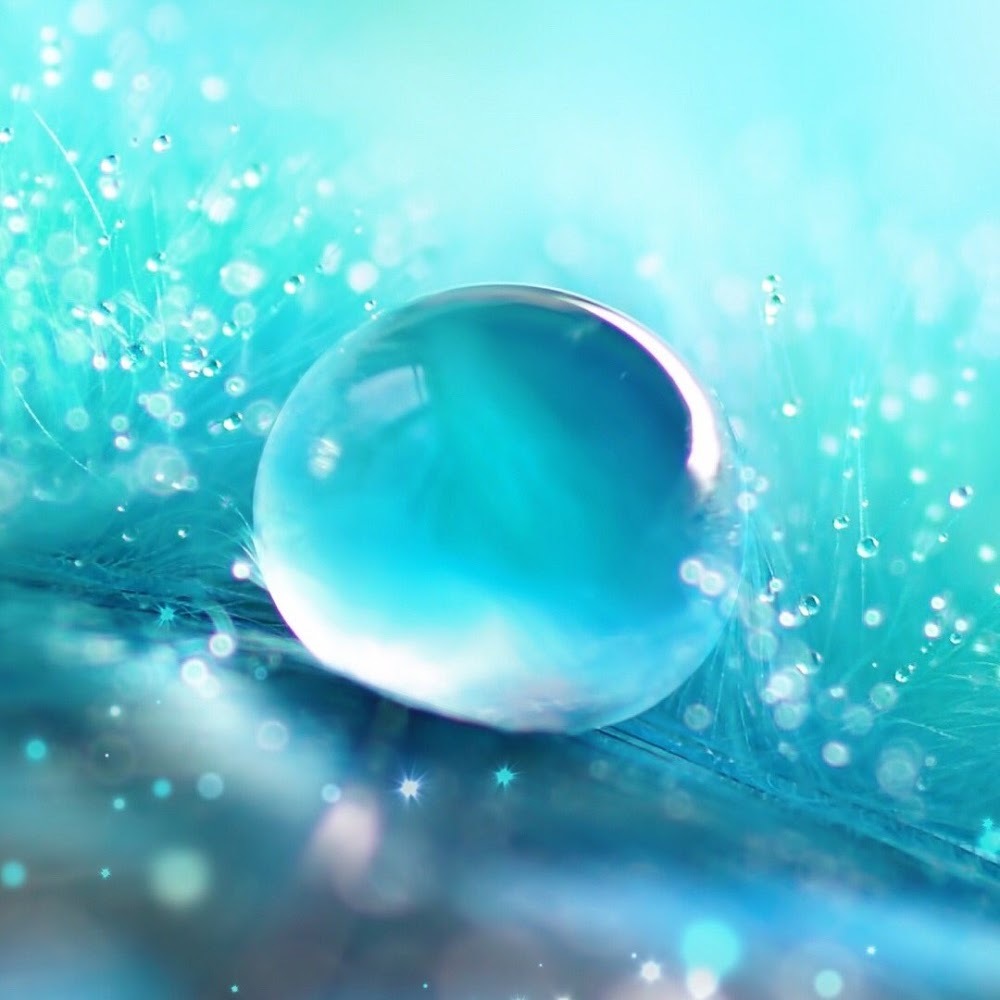 Meet your Posher, Fatima